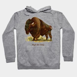 Might Be Chilly Buffalo New York 716 Bison Hoodie